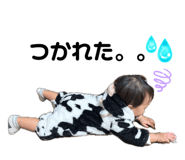 845542027