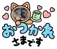 845542397