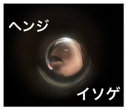 845542485