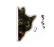 845542779