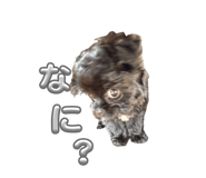 845542792