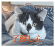 845543182