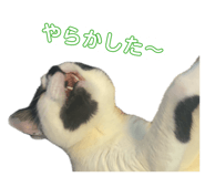845543183