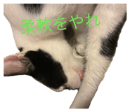845543184