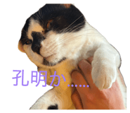 845543185