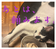 845543192