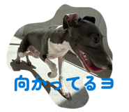 845543426