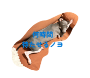 845543429