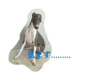 845543430