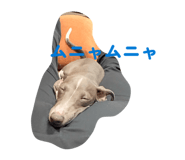 845543431