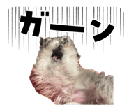845543536