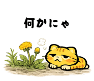 845544290