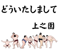 845546806