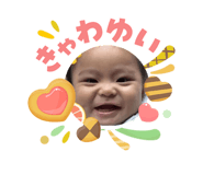 845549633