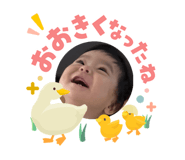 845549637