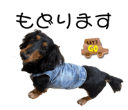 845549716