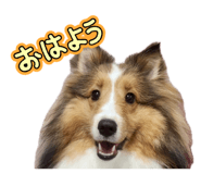 845549825