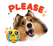 845549826