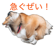 845549828