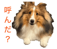 845549829