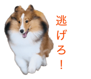 845549830