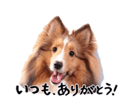 845549834