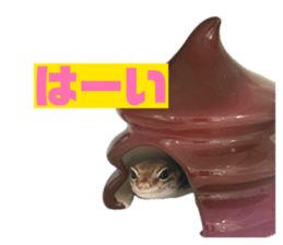 845550043