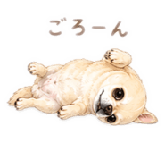 845550229
