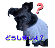 845550247