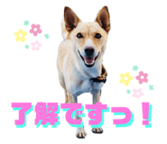 845550248
