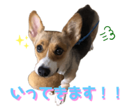 845550250