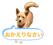 845550251