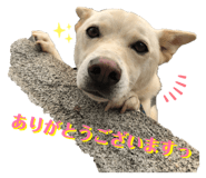 845550253
