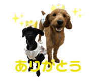 845550254