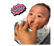 845550269