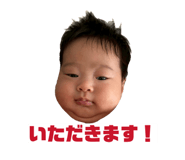 845550305