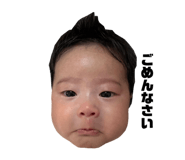 845550306