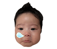 845550310