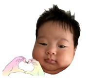 845550311