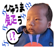 845550412