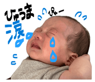 845550416