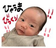845550417