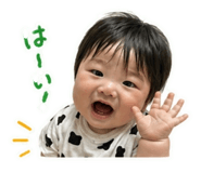 845550440