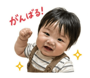 845550444