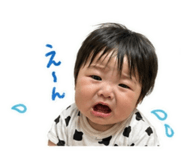 845550447
