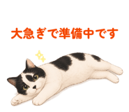845550489