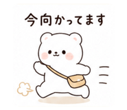 845550504