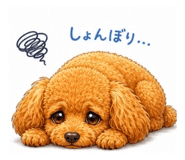 845550517