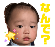 845550531