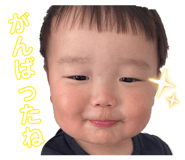 845550532